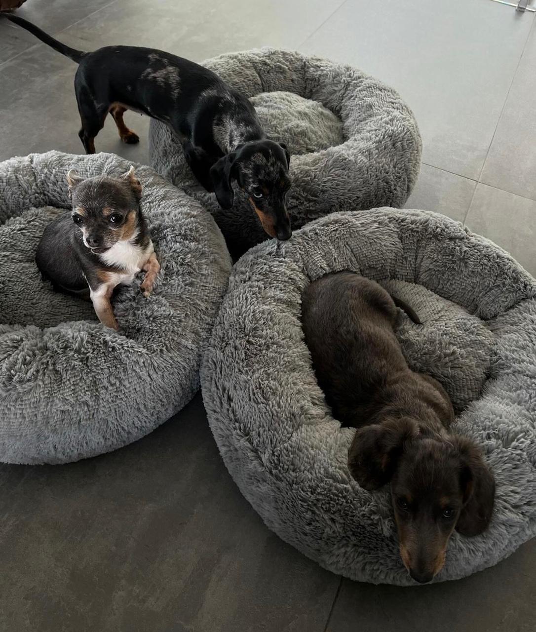 Cama Nube de Confort Antiestrés para Peludos — Suave y Lavable